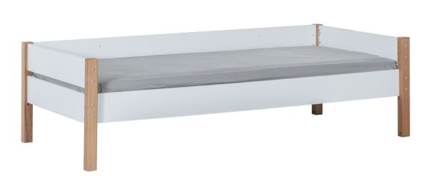 Tent (Blue Arc) | My House