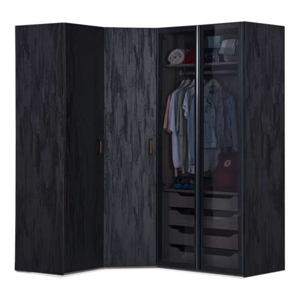 Main Wardrobe | 2-Doors (Dark)