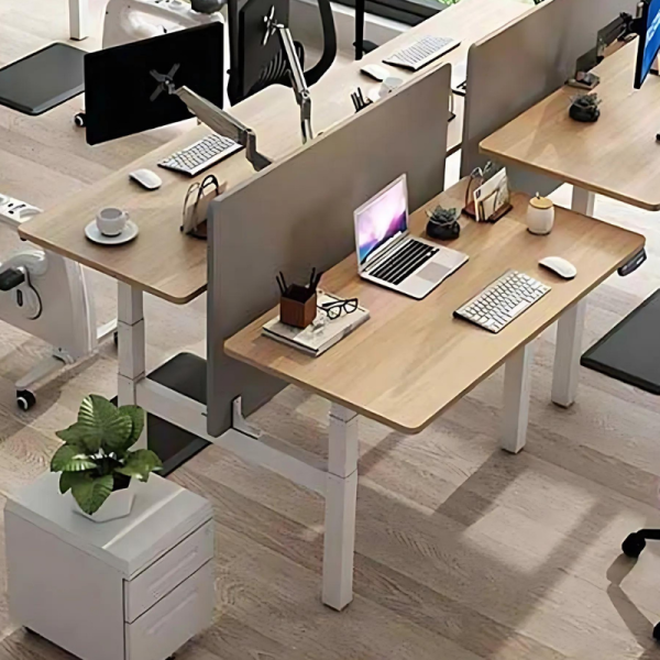 MDS Double Desk (Loreal & Hardy) max. 125kg