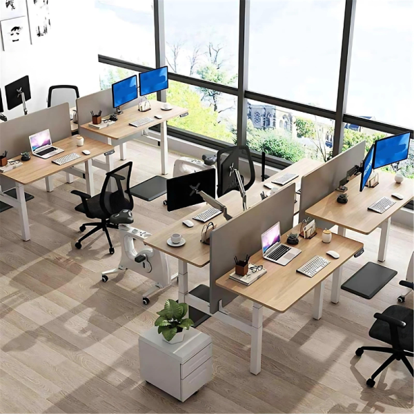 MDS Double Desk (Loreal & Hardy) max. 125kg